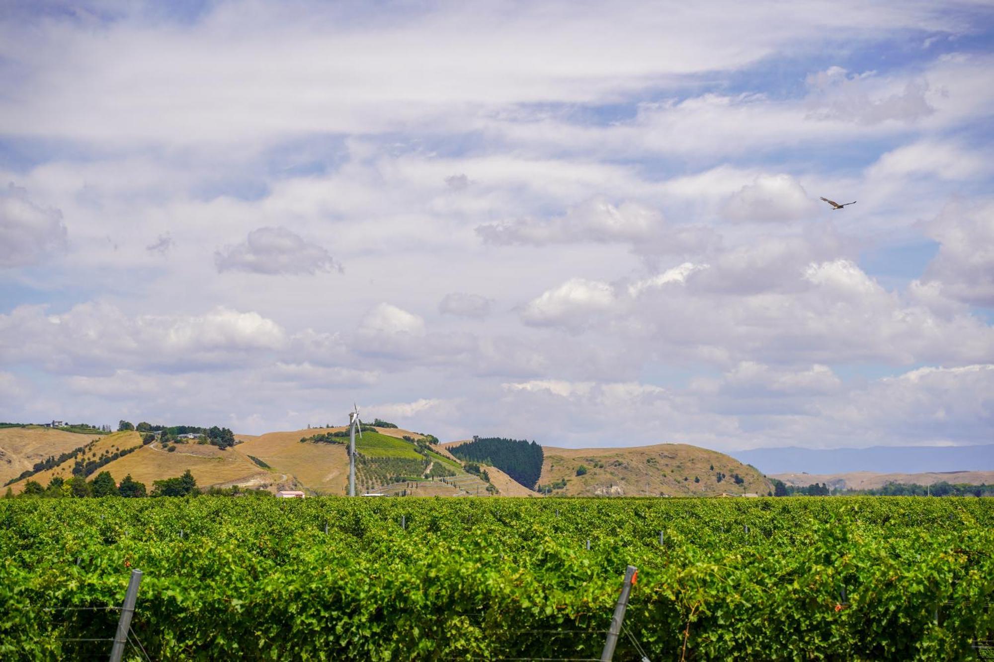Syrah Suite Unison Vineyard Fernhill 외부 사진